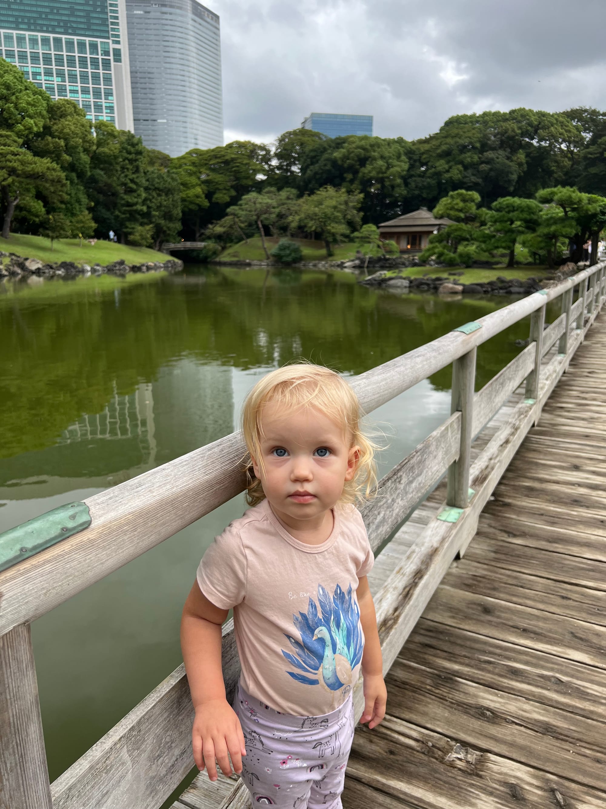 Luksus, ryby i matcha